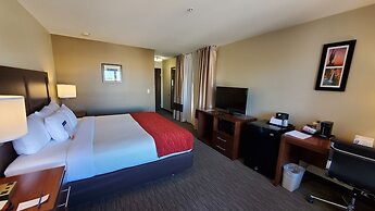 Comfort Inn & Suites Tempe Phoenix Sky Harbor Airport
