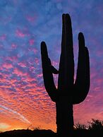 Comfort Inn & Suites Tempe Phoenix Sky Harbor Airport