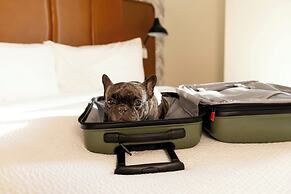 Burton House, Beverly Hills, A Tribute Portfolio Hotel