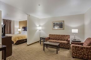 Quality Inn & Suites Meridian - West Boise