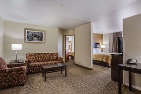 Quality Inn & Suites Meridian - West Boise