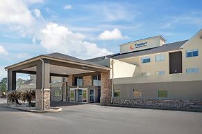 Comfort Inn & Suites Crystal Inn Sportsplex