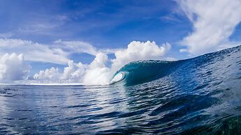 Coconuts Beach Club Resort & Spa