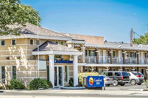 Comfort Inn Palo Alto