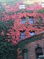 Historic Cary House Hotel