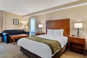 Comfort Inn Douglasville - Atlanta West