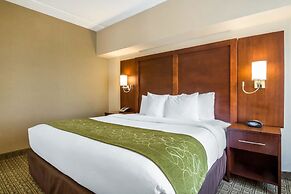 Comfort Suites at Woodbridge
