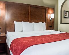 Comfort Suites University - Research Park