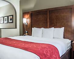 Comfort Suites University - Research Park