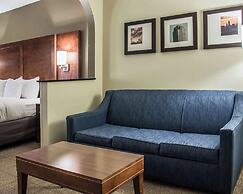 Comfort Suites University - Research Park