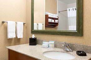 Hampton Inn Houston-Willowbrook Mall