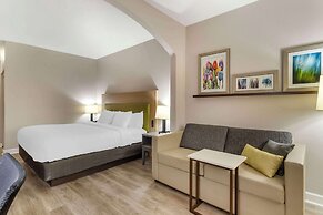 Comfort Suites Shenandoah-The Woodlands