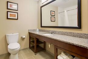 Comfort Inn & Suites Macon North I-75