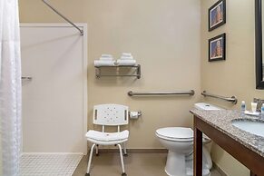 Comfort Inn & Suites Macon North I-75