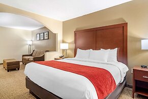 Comfort Inn & Suites Macon North I-75