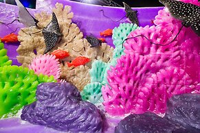 Moody Gardens Hotel, Spa and Convention Center