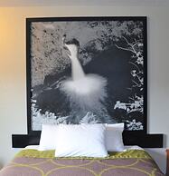 Super 8 by Wyndham Roseburg