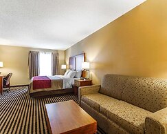 Comfort Inn Owatonna near Medical Center
