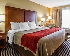 Comfort Inn Owatonna near Medical Center