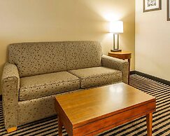 Comfort Inn Owatonna near Medical Center