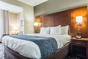 Comfort Suites Pineville - Ballantyne Area