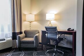 Comfort Suites Pineville - Ballantyne Area