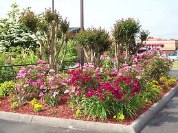 Quality Inn Clinton - Knoxville North