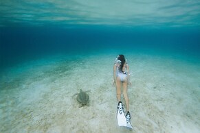 The Westin St. Thomas Beach Resort & Spa