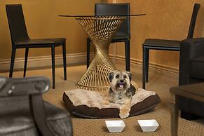 Executive Hotel Le Soleil