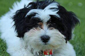 Travelodge by Wyndham Red Bluff South of Redding