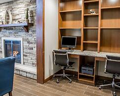 Comfort Inn & Suites Riverview near Davenport and I-80