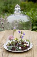 Bernardus Lodge & Spa