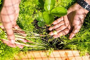 Mayflower Inn & Spa, Auberge Resorts Collection