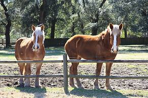 The Inn At Middleton Place