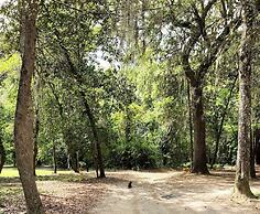 The Inn At Middleton Place