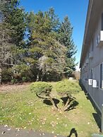 Super 8 by Wyndham Shelton