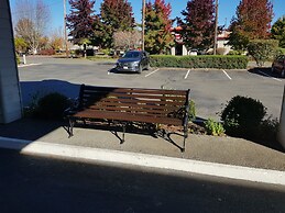 Super 8 by Wyndham Shelton