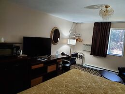 Super 8 by Wyndham Shelton