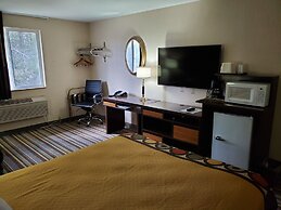 Super 8 by Wyndham Shelton