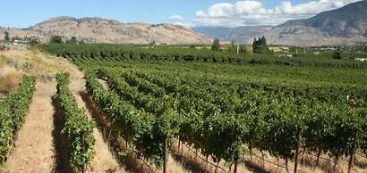 Holiday Inn Hotel & Suites Osoyoos by IHG