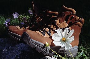 Chalet Hôtel le Prieuré & Spa