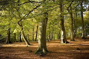 The Montagu Arms Hotel