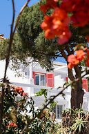 Rhenia Mykonos