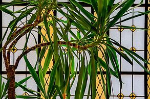 Hotel Príncipe Real