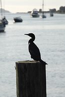 Mariners on the Waterfront