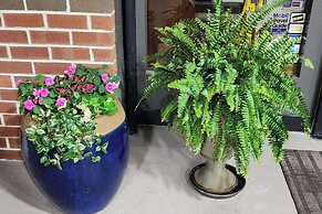 Quality Inn Dublin I-81