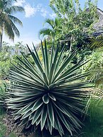 Emerald Beach Resort