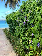 Emerald Beach Resort