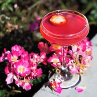 Ocean Place Resort And Spa