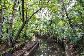 Barceló Montelimar - All Inclusive